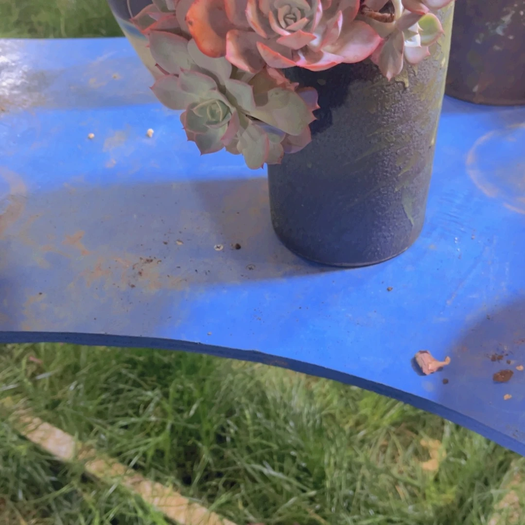 唐***啦多肉植物组合盆栽植物