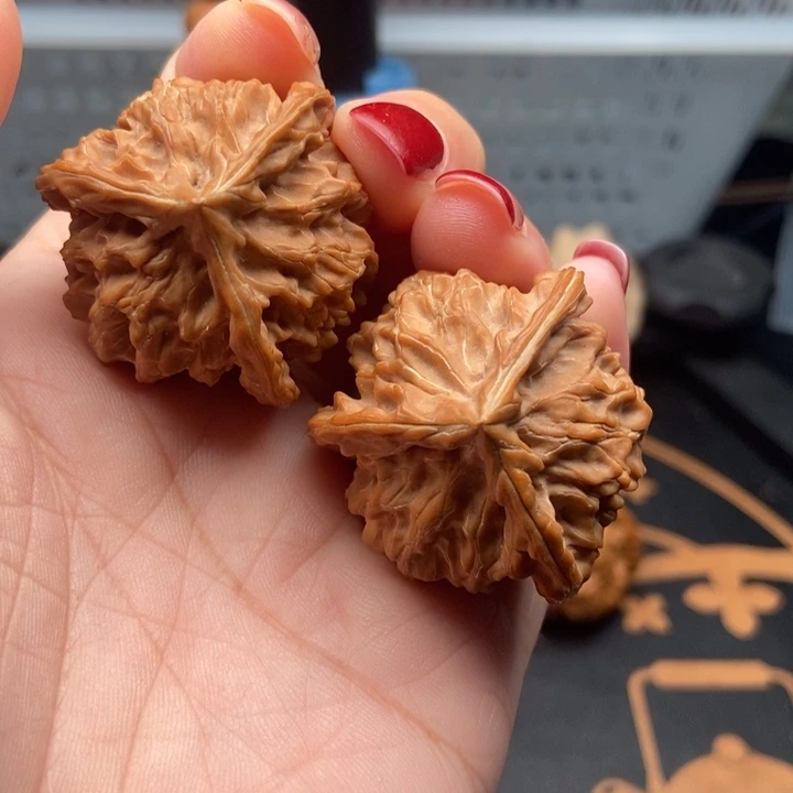 核桃36尺寸盘山核桃
