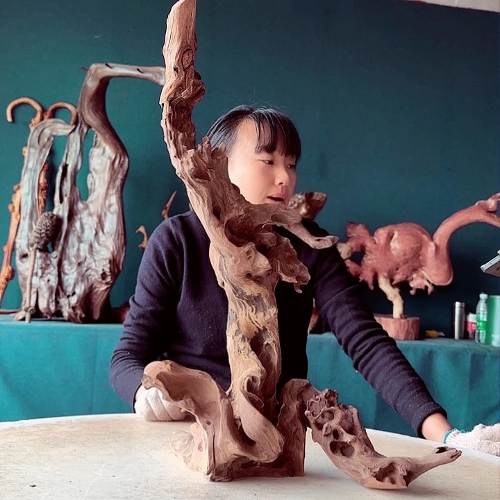 黑果木秦*亮455金丝红木羊蹄甲半成品