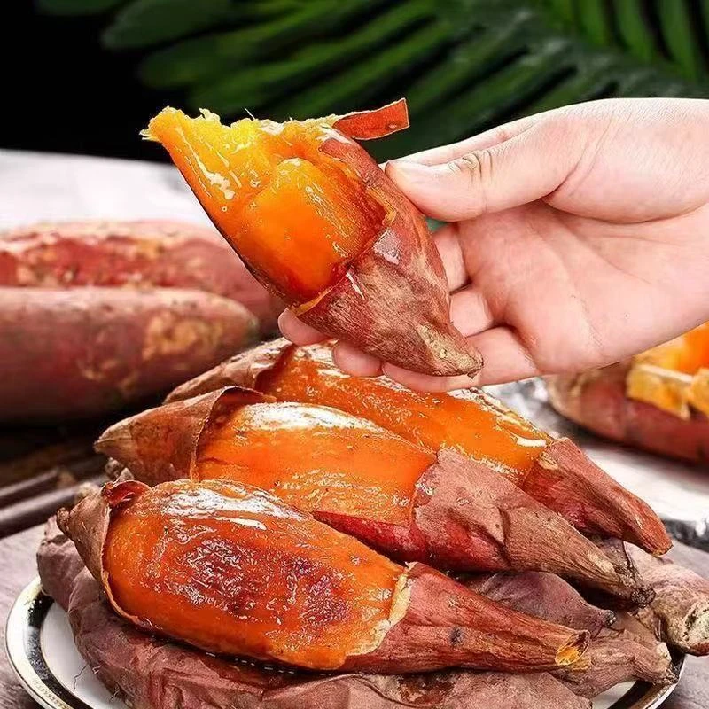 （福田）师父自种蜜薯烟薯