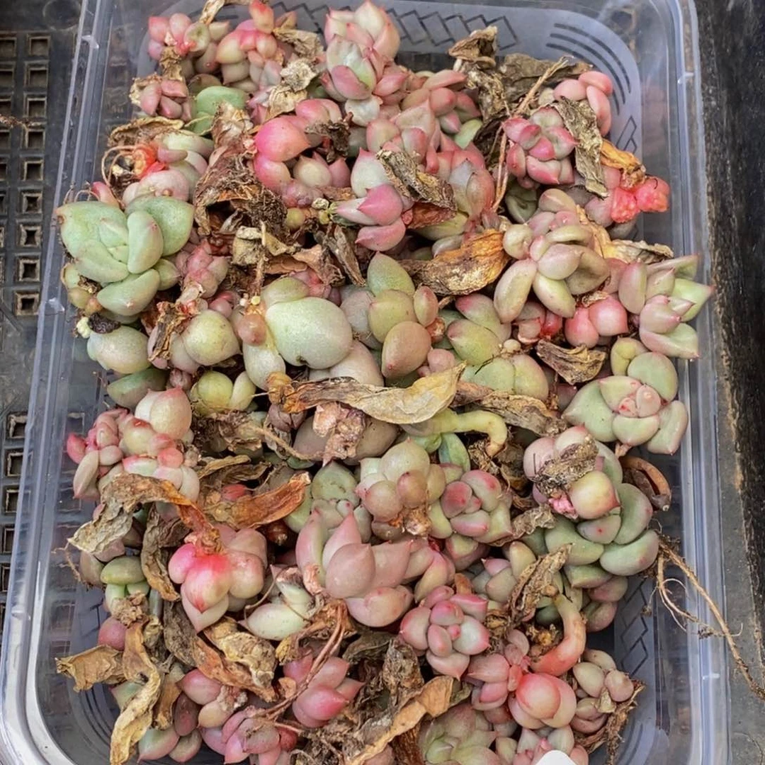 341多人在一起的时候就