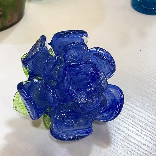 夜光花头高12厘米宽12厘米