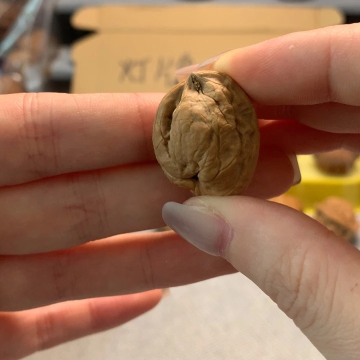 ****文玩核桃把件异形单只