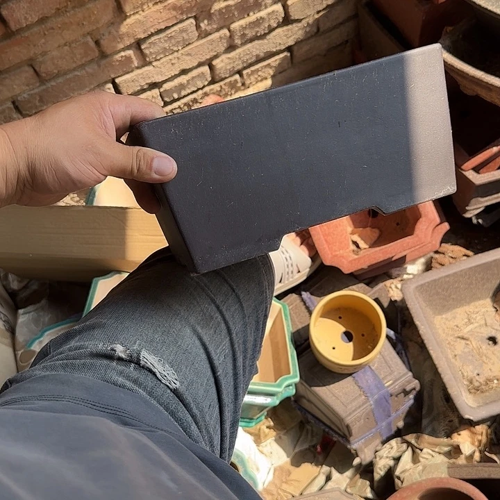 不说你是怎么对我们这些大美女