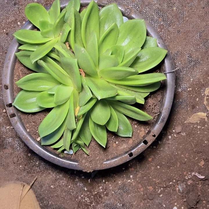 菁***编在一段很好关系下你要