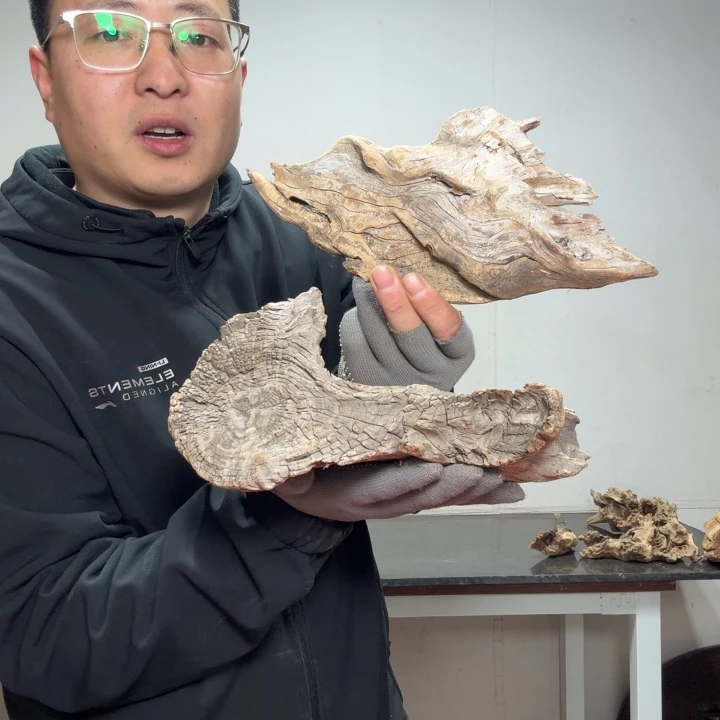 月***水香榧木客服18832259591