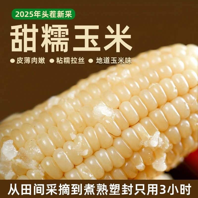 谷味来五常甜糯玉米8棒真空包装 东北2025年头茬采摘糯玉米粘苞米