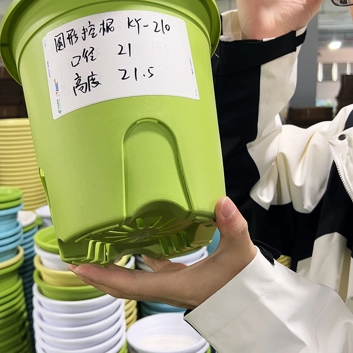 正品圆控口21高21果绿无托8只