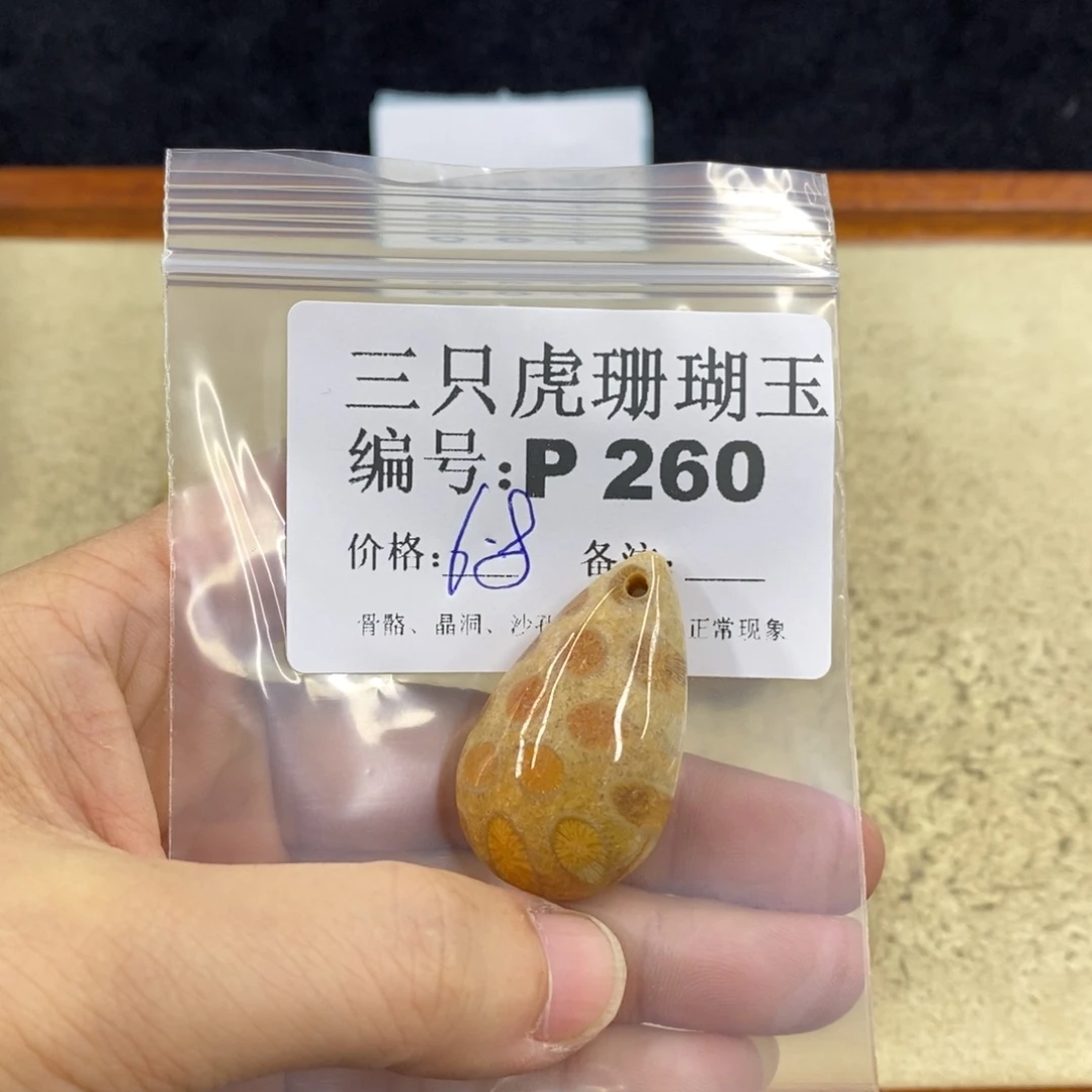 硅化珊瑚（珊瑚玉）1未镶嵌用****舞