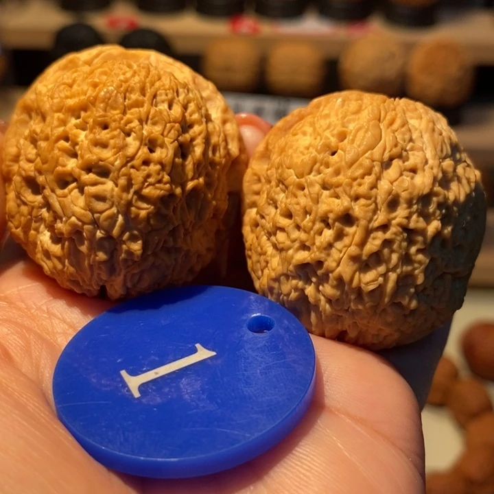 雅***居菩提籽类超肥铁绣球42尺寸，毕业对