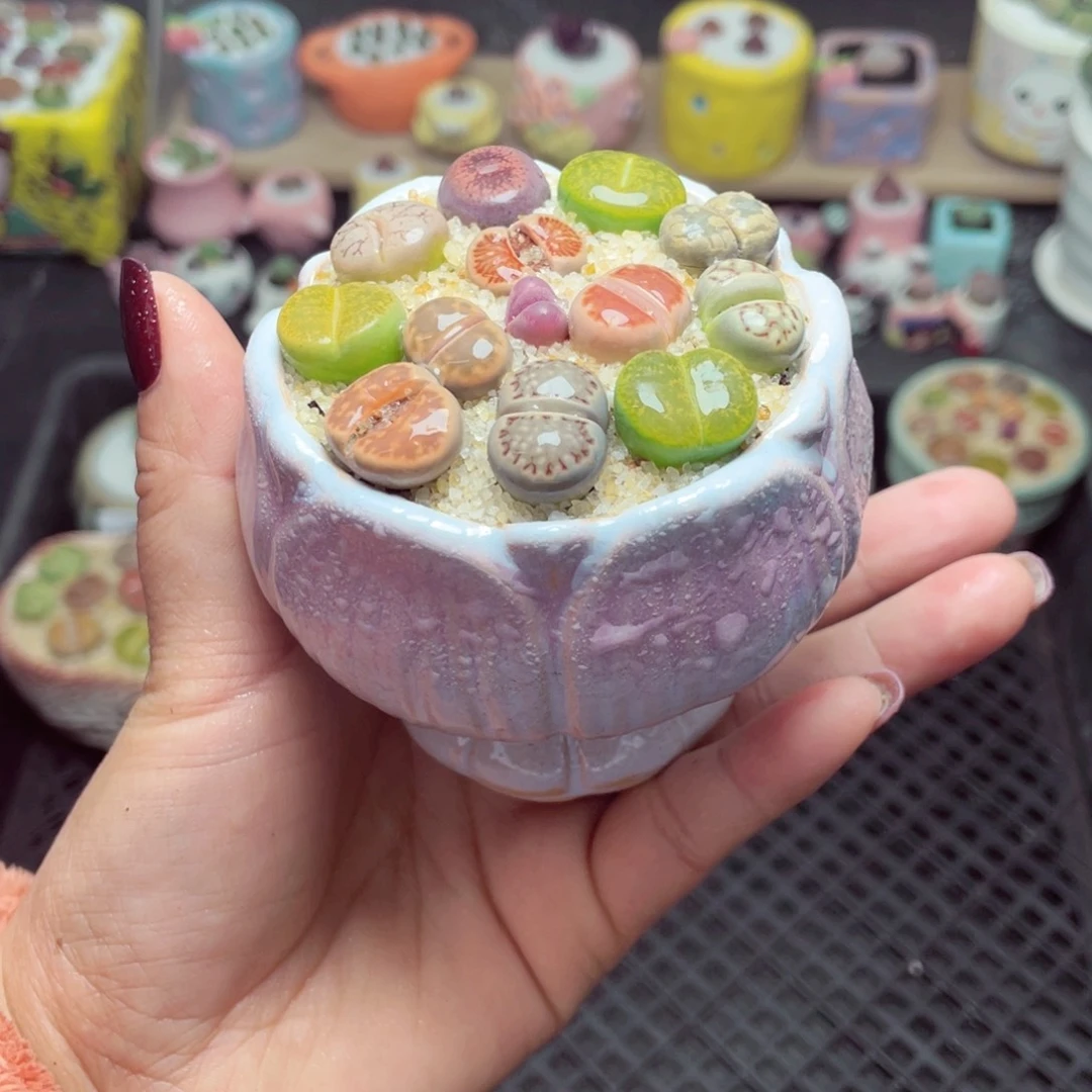 w9808 带盆土发货-零下地区拍保温箱