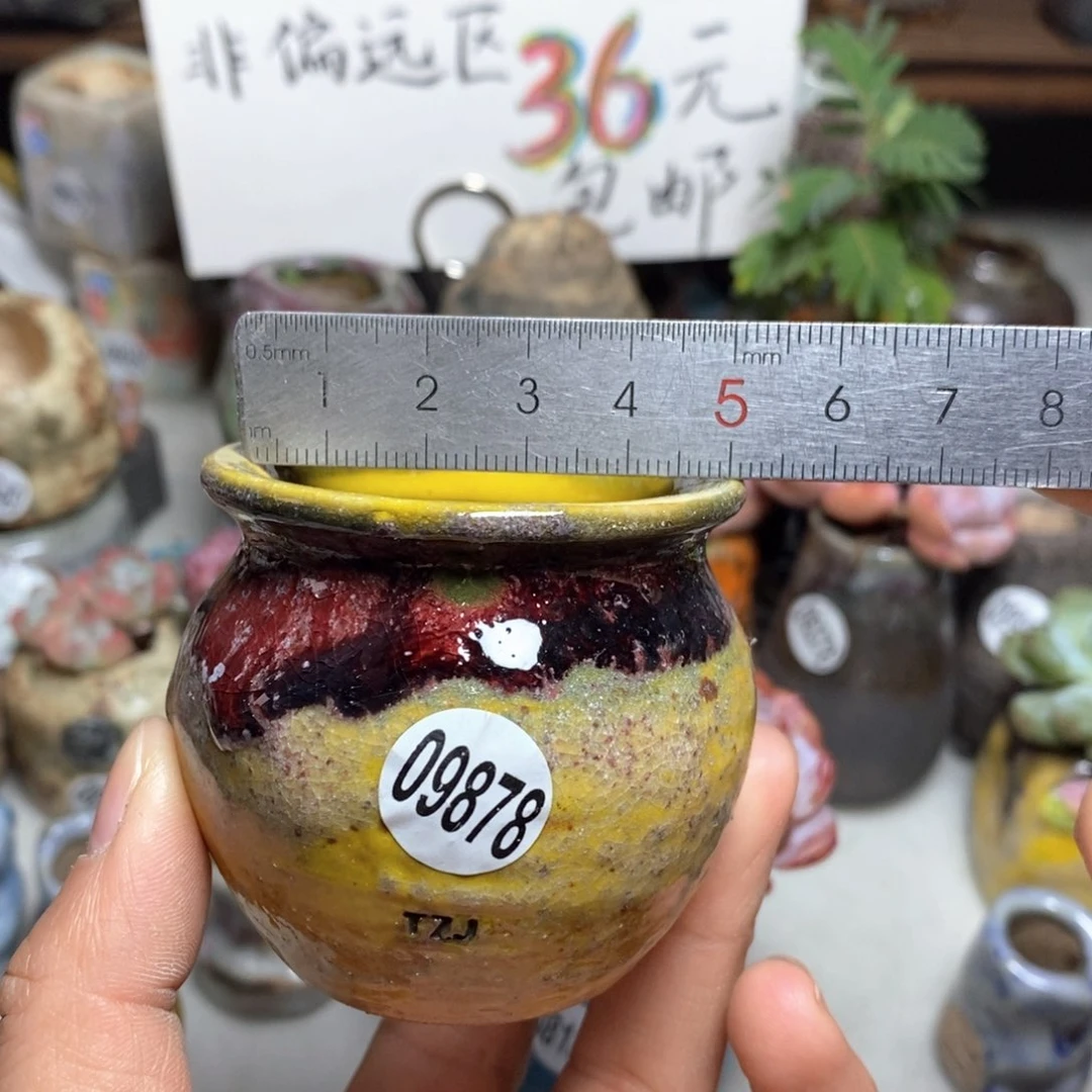 花盆拍5送一个小礼物