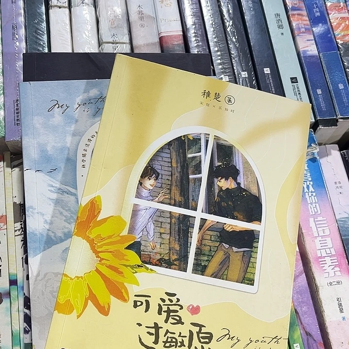 可爱过敏原全新全套两本带周边