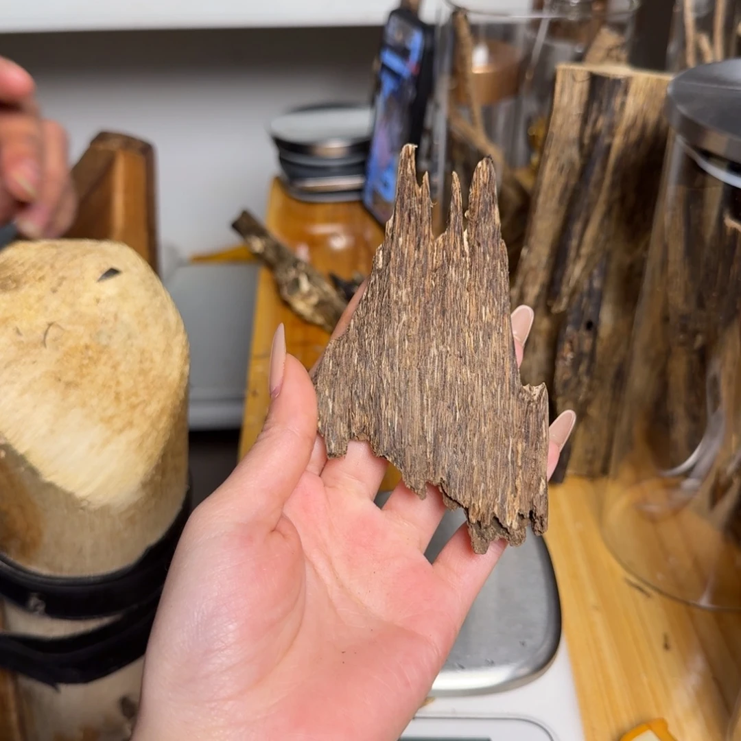 沉香海南虫漏香12克