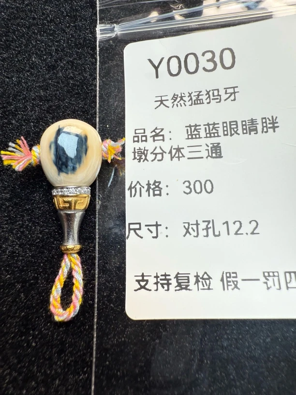 Y0030天然猛犸牙蓝皮蓝眼睛925胖墩分体三通