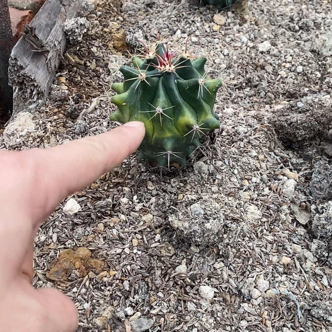 天****号000000000000000000