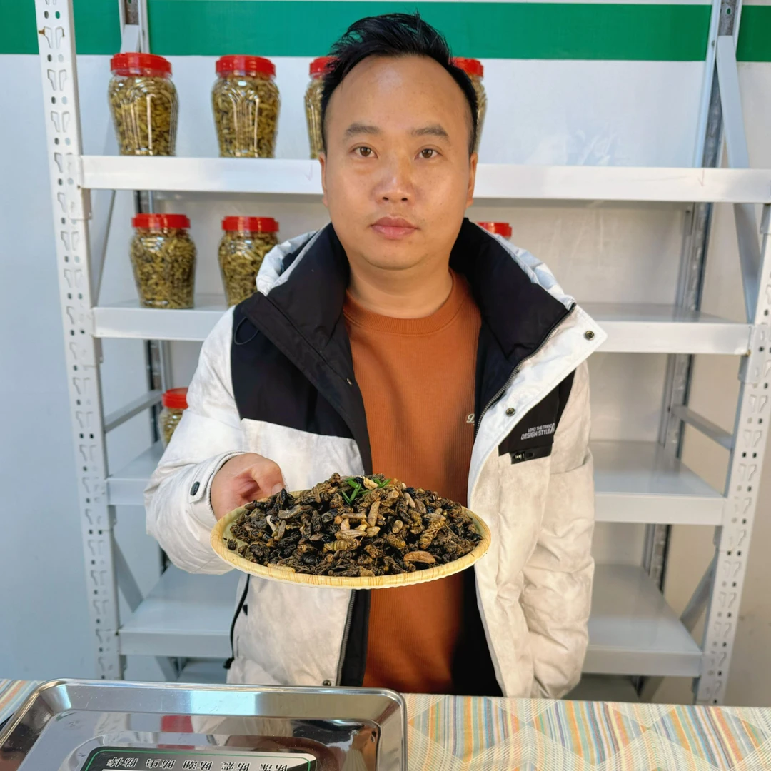 贵州深山油炸嫩蜂（带内脏）介意勿拍