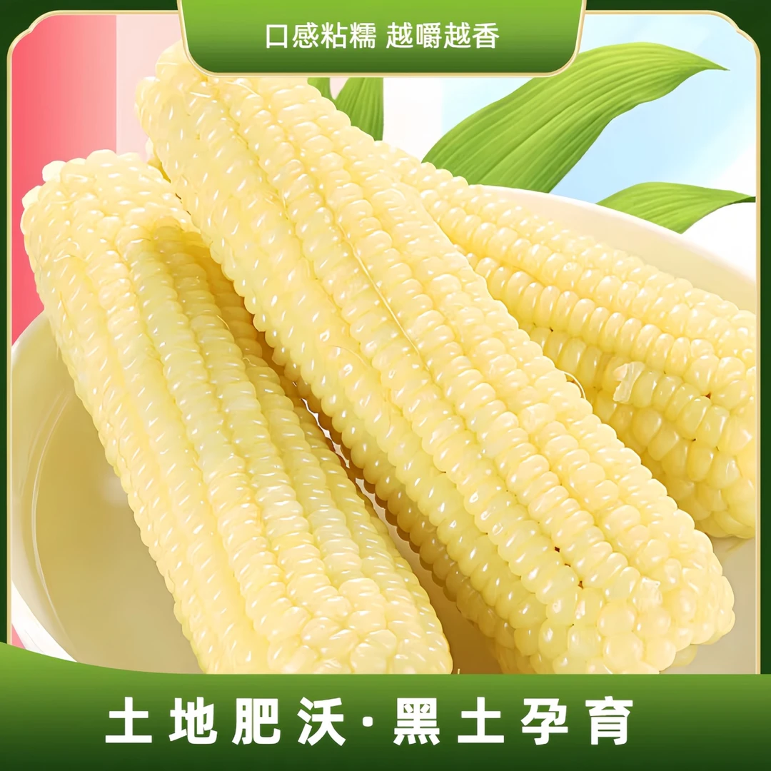 试吃两根白糯玉米真空独立现货现发包装整箱5-6斤代餐玉米10根