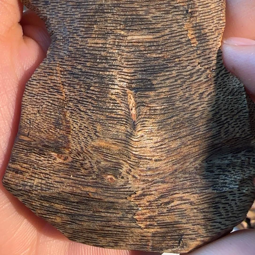 1***8沉香碎屑沉香墨香黑金精品老料