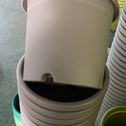 树脂四季3号灰白无托10个微瑕