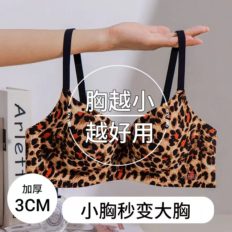 聚拢刺绣V型三排搭扣欧美风文胸豹纹女士大胸显小