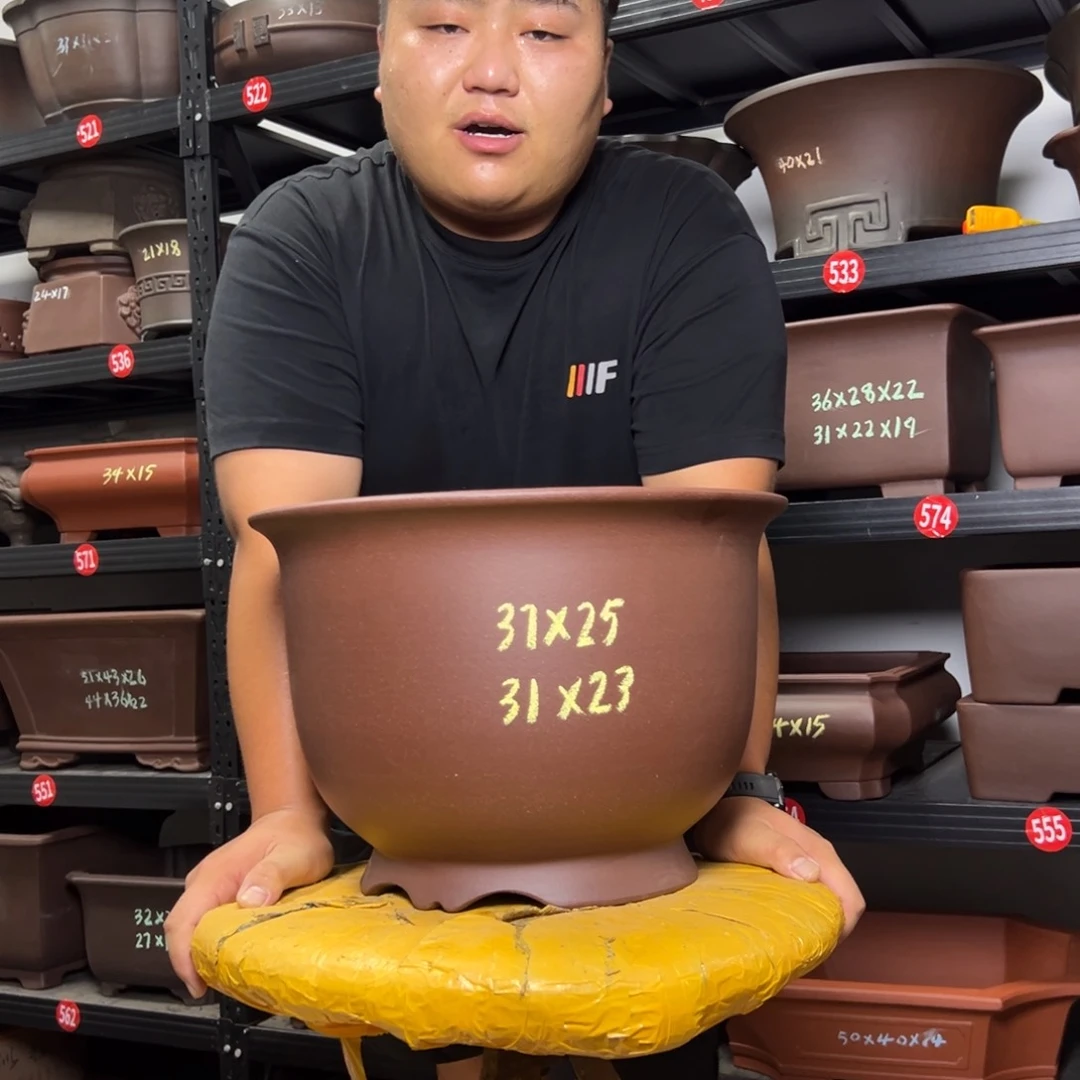 紫砂其他呜呜呜呜我的
