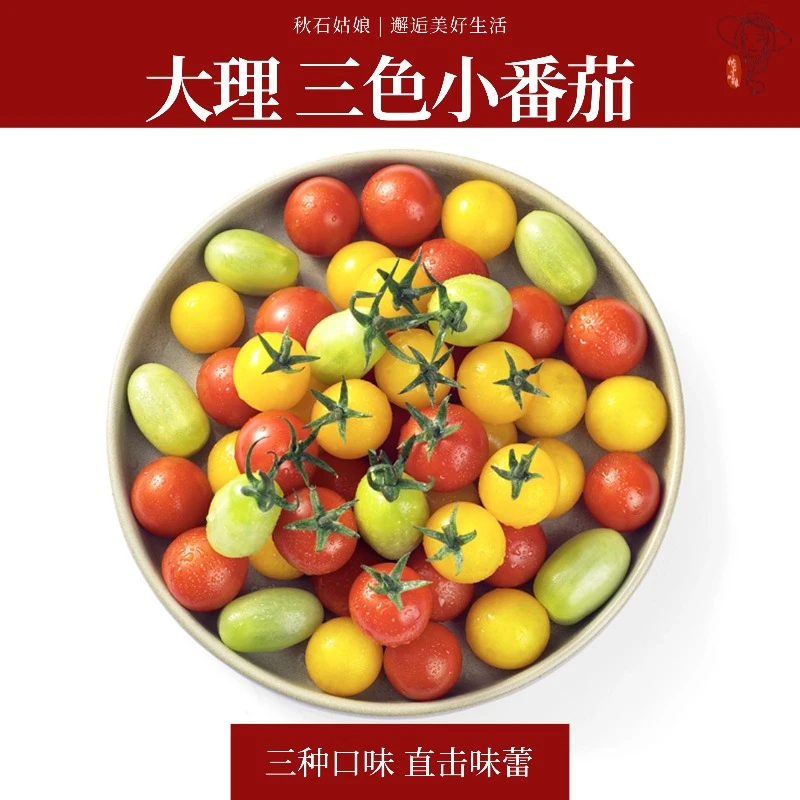 新鲜彩色小番茄圣女果【大理核心产区】彩色小柿子清甜多汁现摘现发