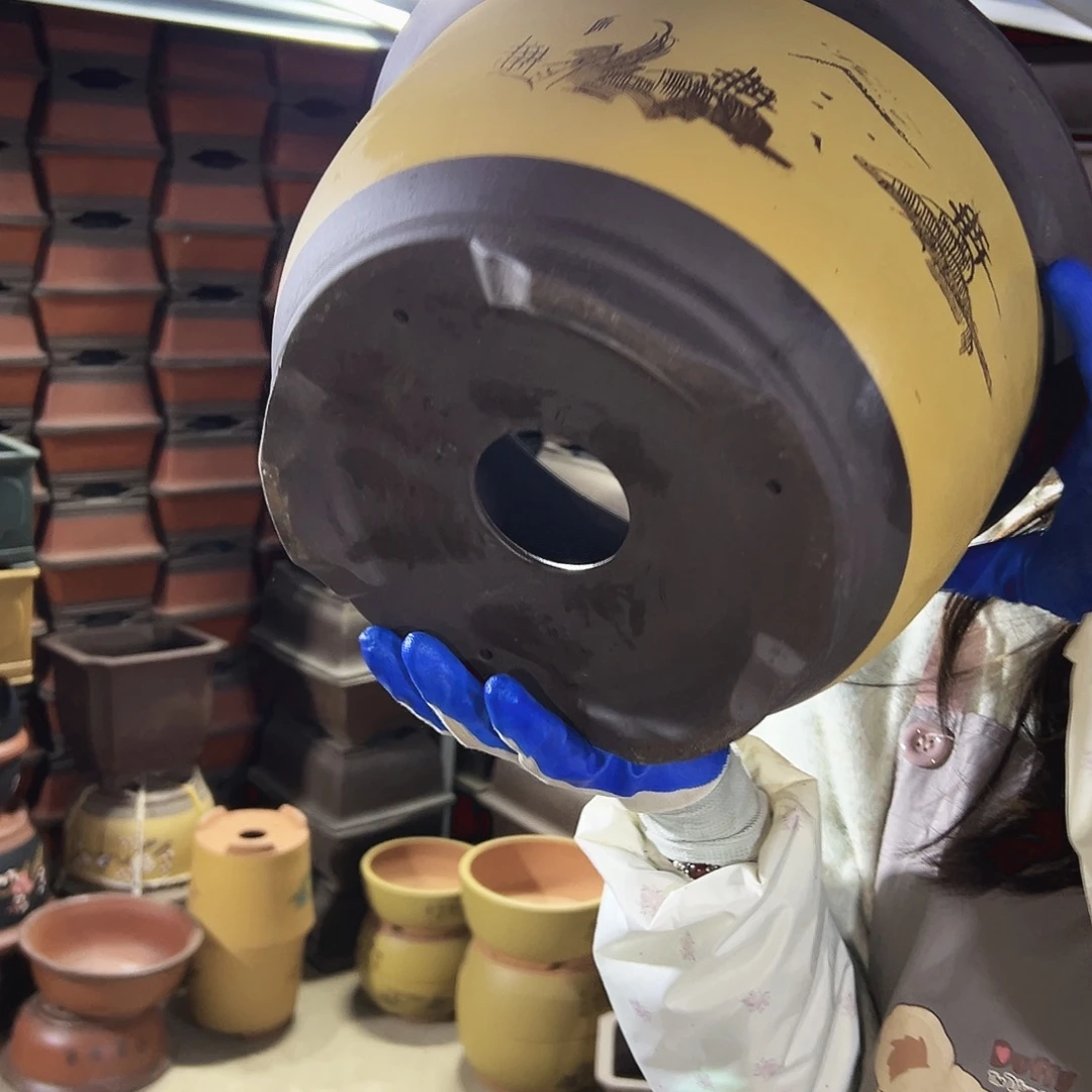 002花盆花盆花盆花盆