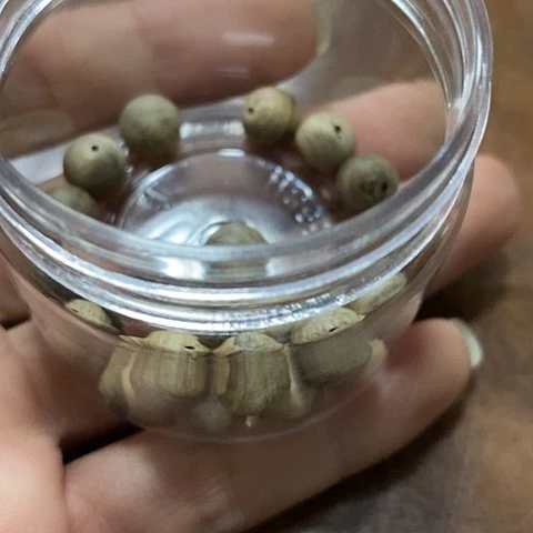 西马花香0.9/21颗（福利031101