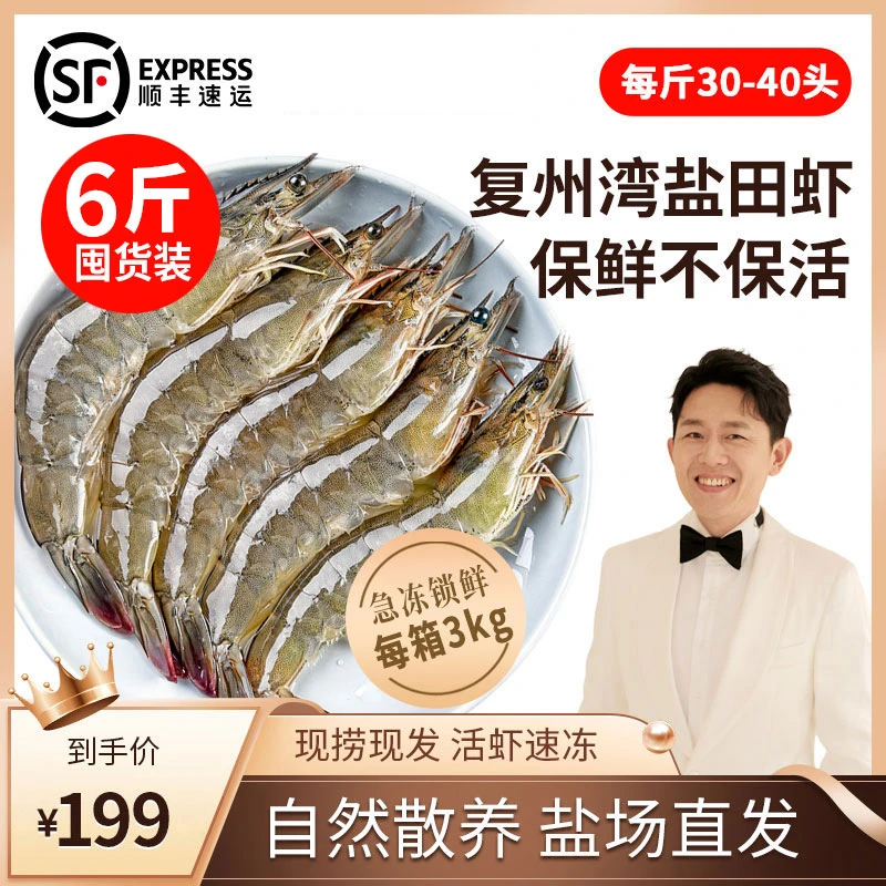 【起伦盐田虾】国企直营正宗大连复洲湾盐田虾 约30-40头/每斤