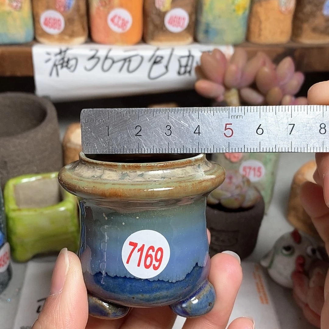 红陶拍5送一个小