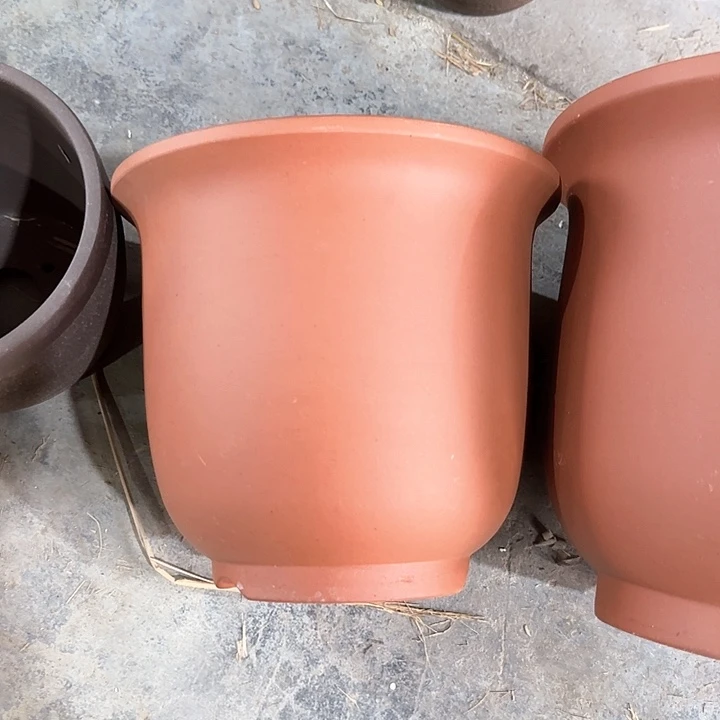 梦***.22×19四只定制款京中专拍