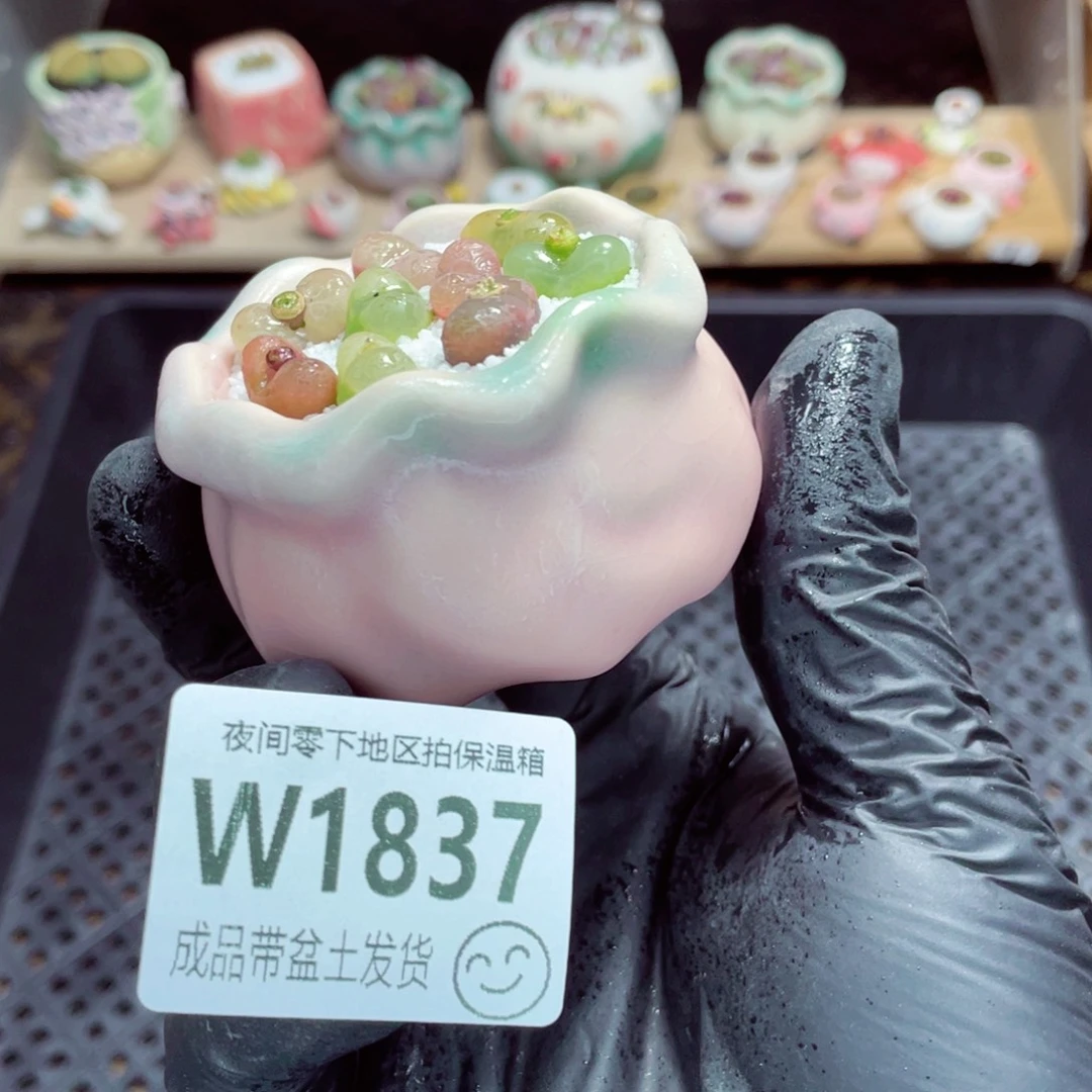 夜间零下地区拍保温箱w1837