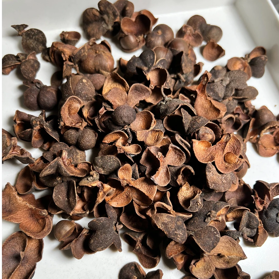 （250克）六堡茶果   1999年陈化 六通六堡茶