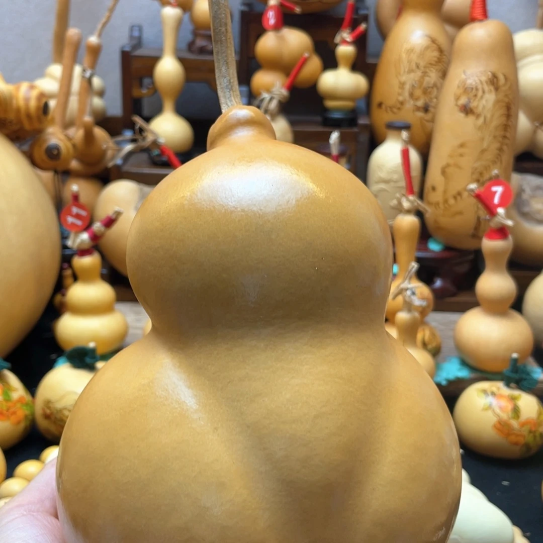 帆*大自然的秘密第十一节你是