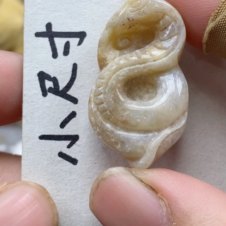 颈饰未镶嵌硅化珊瑚（珊瑚玉）