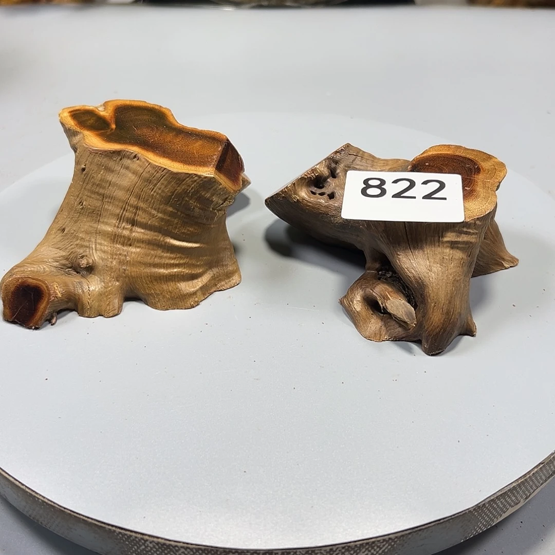 大果紫檀（缅甸花梨）电***人