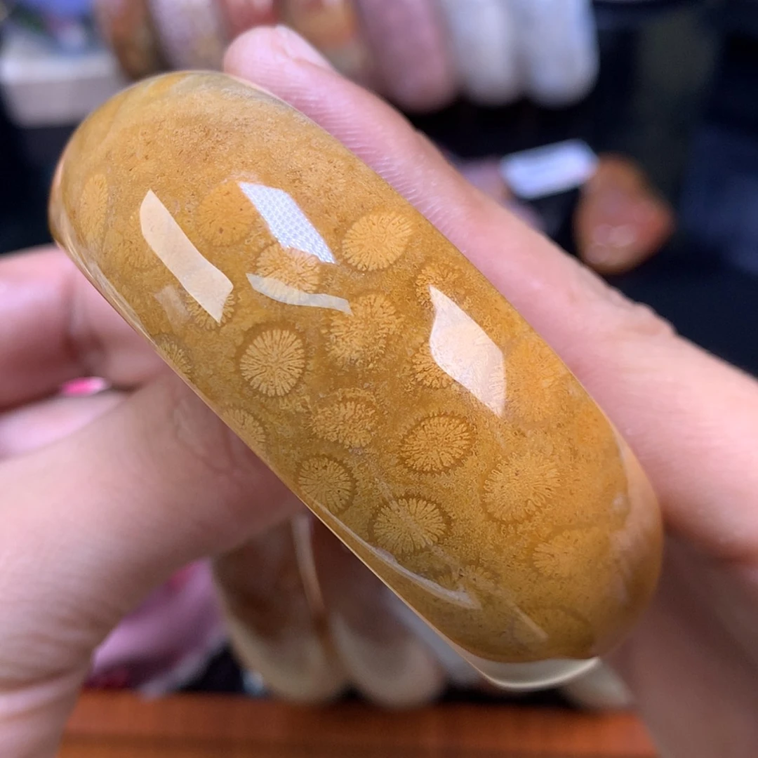 【闪购商品】颈饰未镶嵌硅化珊瑚（珊瑚玉）51号金皮花花59.7圈