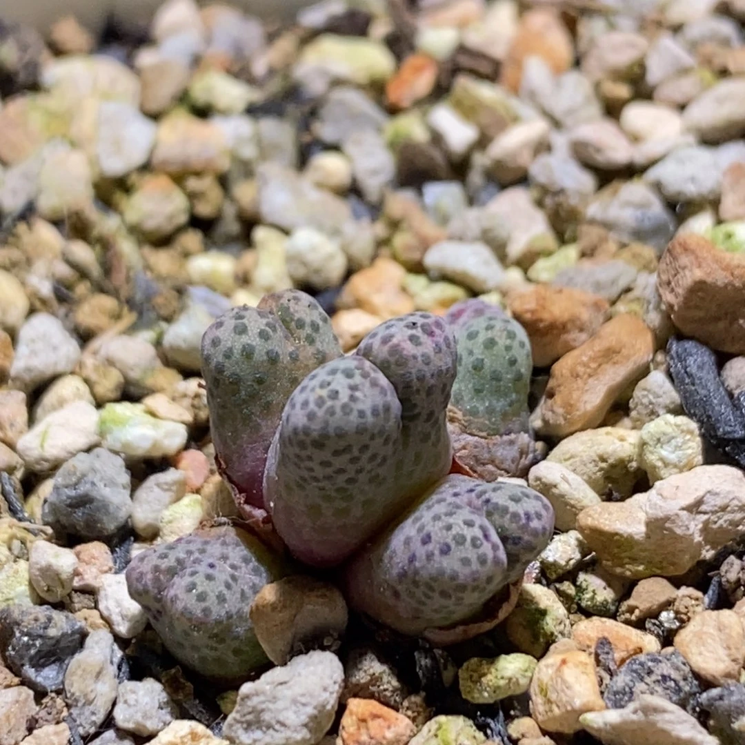 好看好看好看班吗