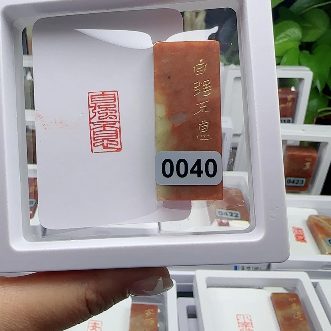 寿山石印石自强不息1×2