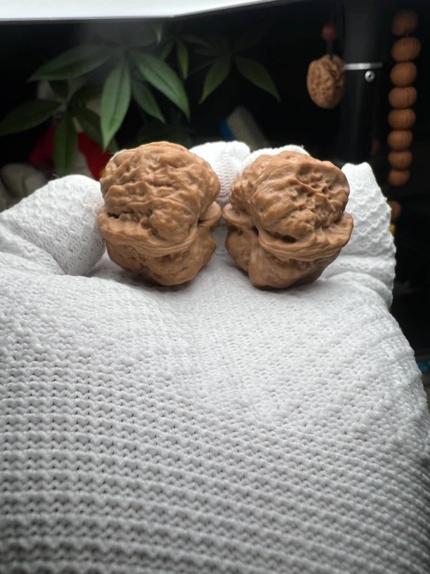 金蝉蛤蟆头文玩核桃