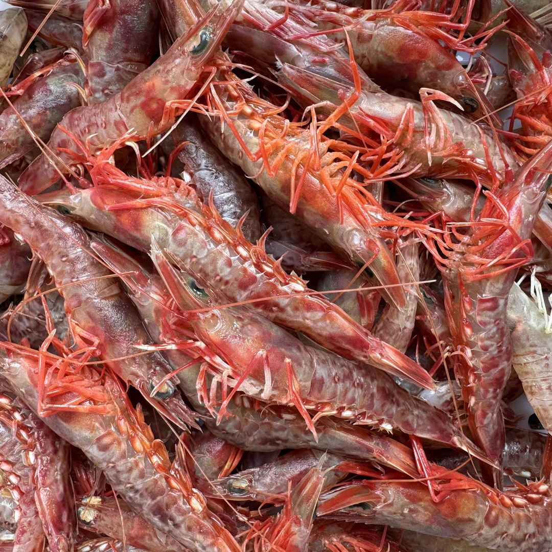 野生海捕（樱花虾）