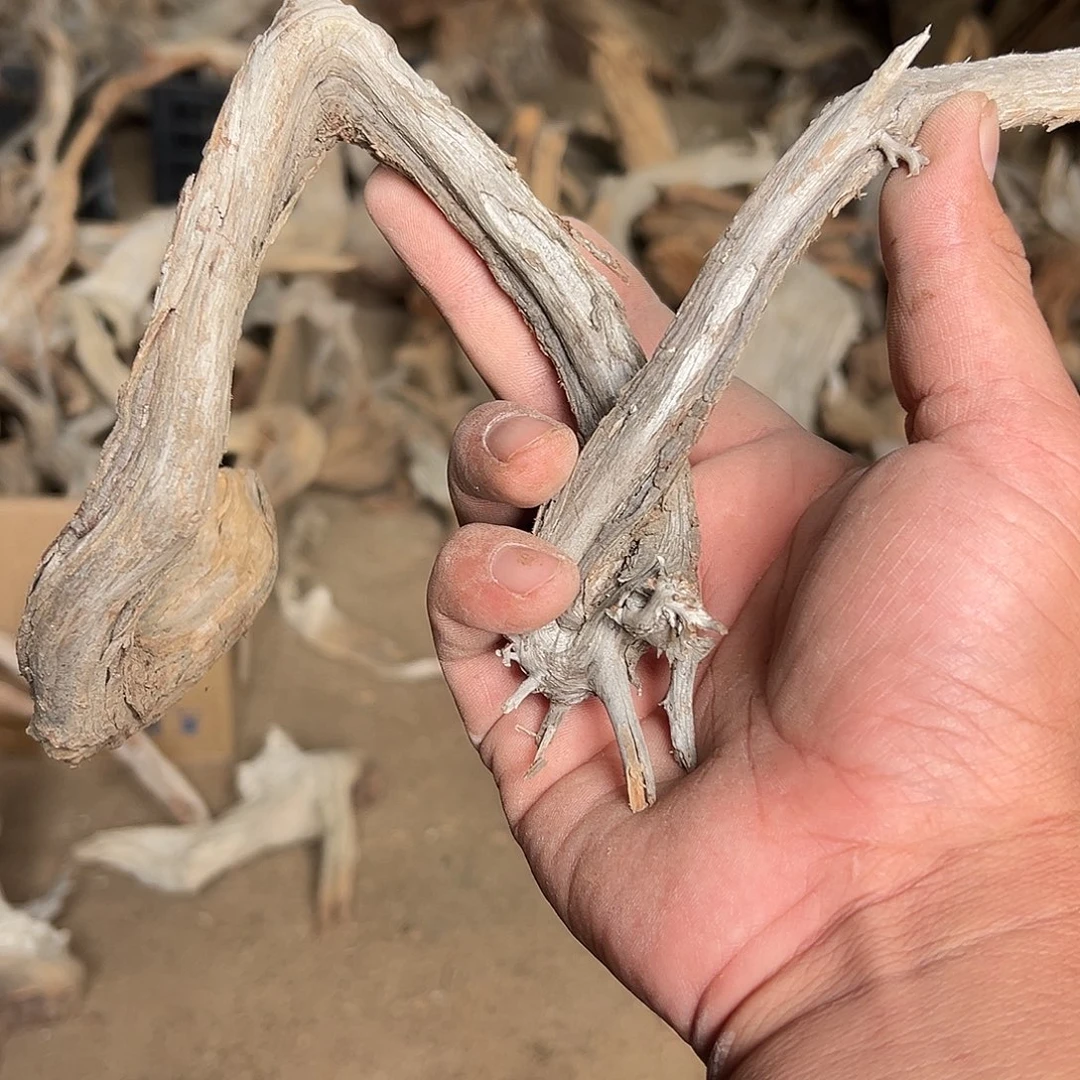 得***许柏木（崖柏）文玩根雕