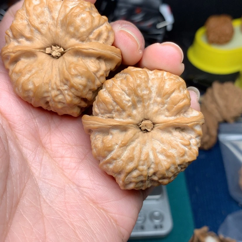 【闪购商品】核桃摆件风**端40蛤蟆头编号3840