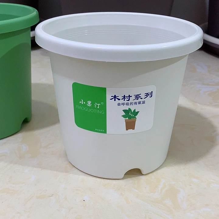 小果汀15口白5个无托