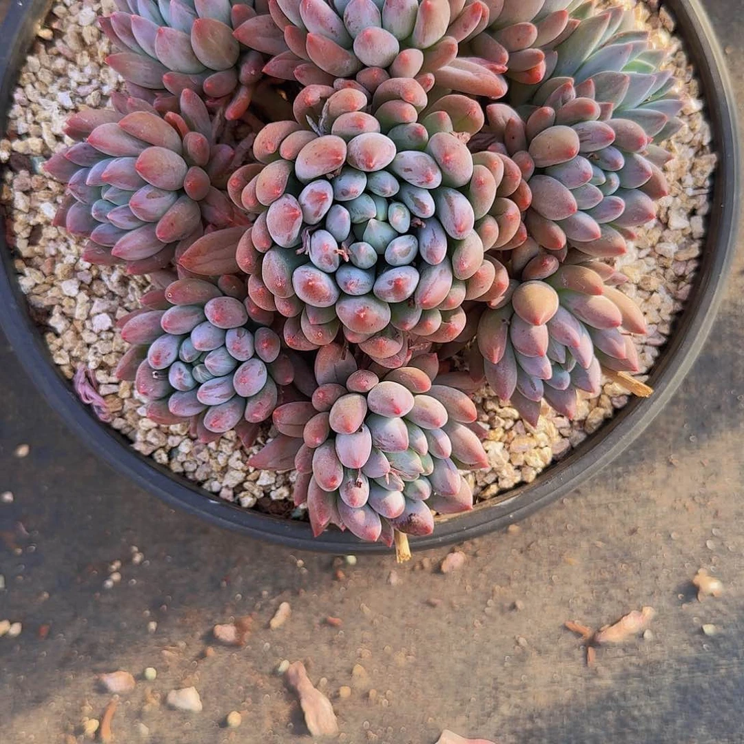 n****儿我我我一下绝我一下