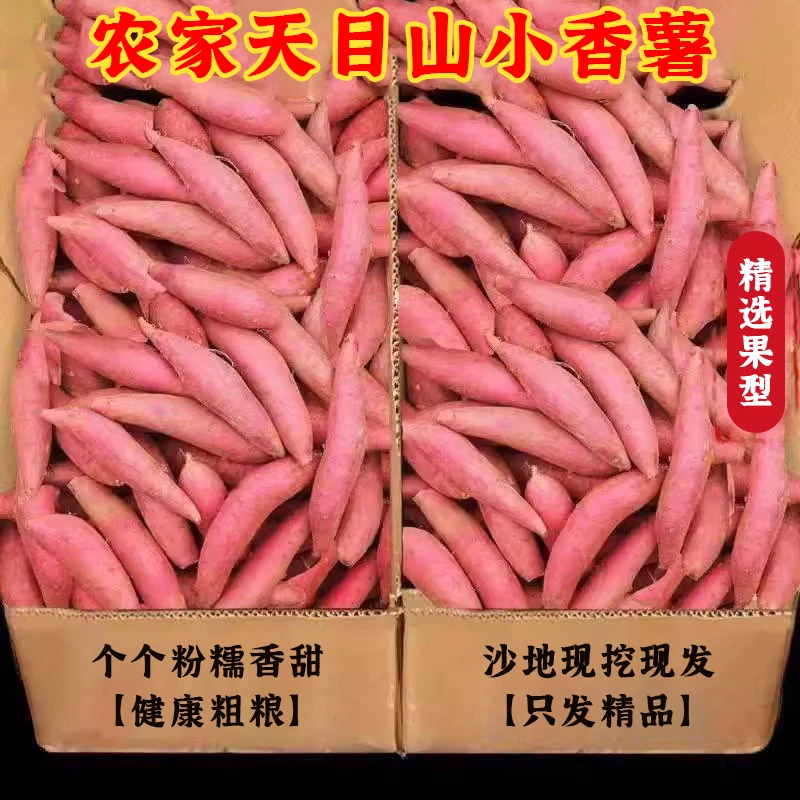 天目山小香薯红皮黄心甜糯红薯板栗番薯新鲜农家沙地地瓜非临安