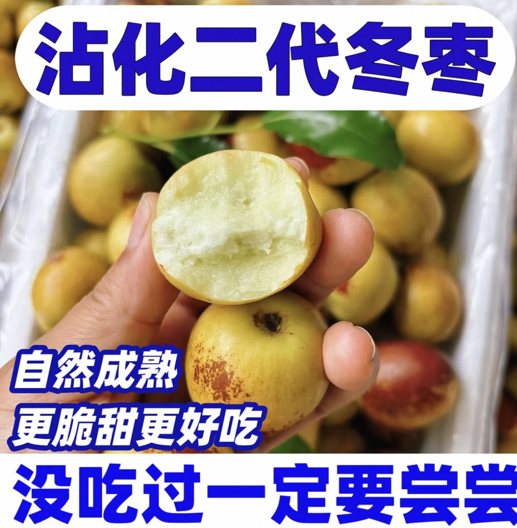 山东沾化冬枣二代冬枣加倍脆甜5斤鲜枣冬枣新鲜脆甜