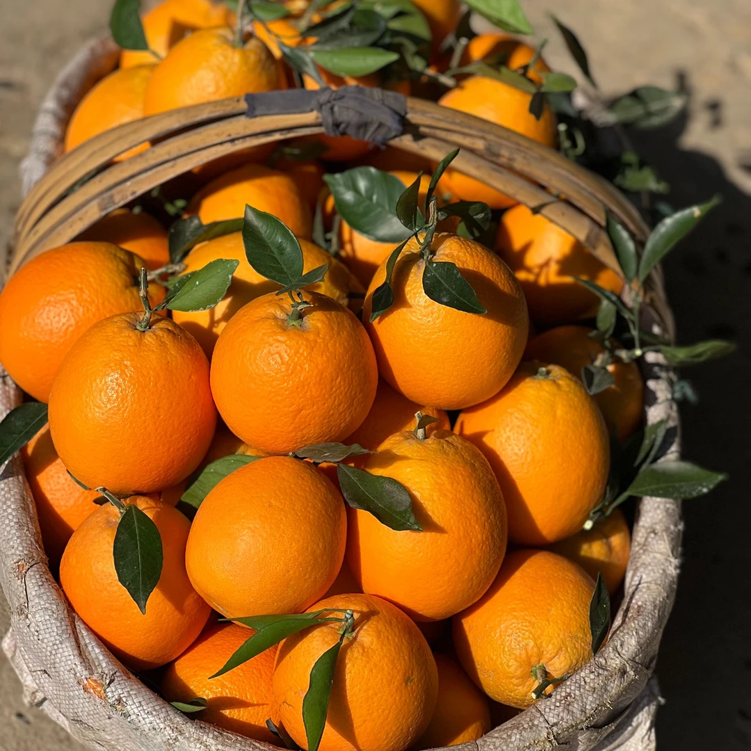 【青青专属】脐橙应季新鲜水果甜橙手剥橙子孕妇水果