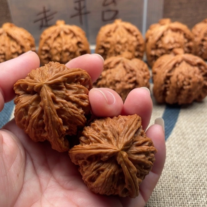 一***变核桃白狮子40核桃